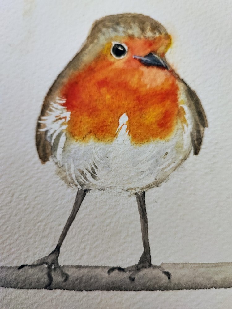 Un petirrojo muy bonito pintado en acuarela de Annette Armitage