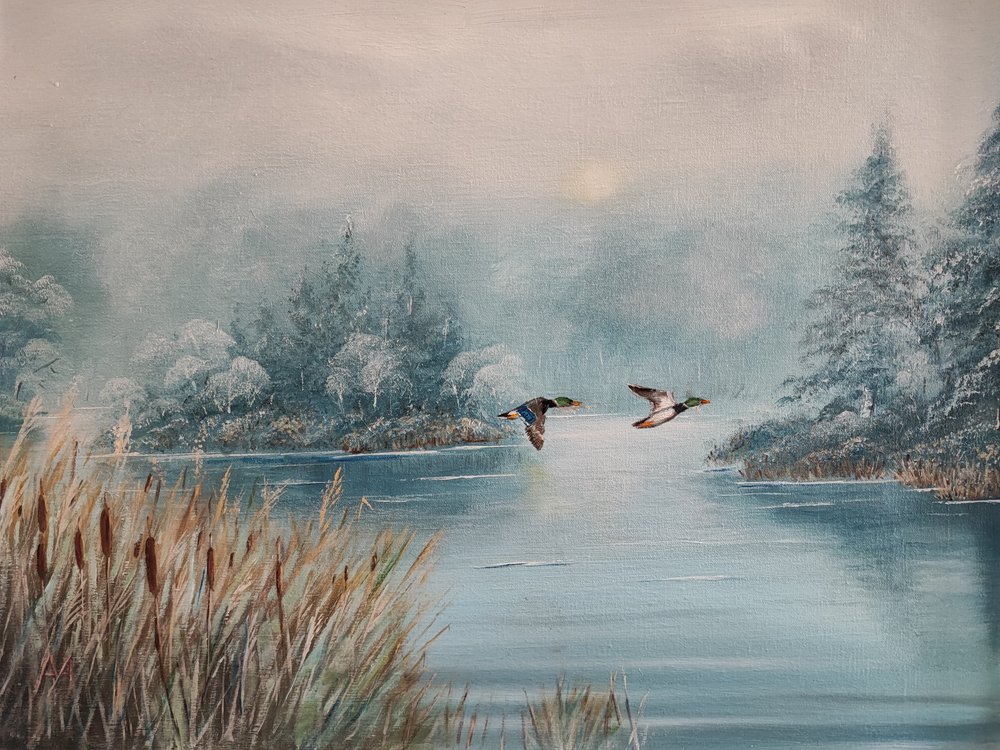 Patos sobre el lago en invierno de Annette Armitage