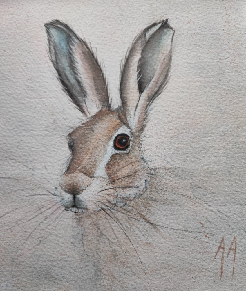 Retrato de una liebre apacible de Annette Armitage