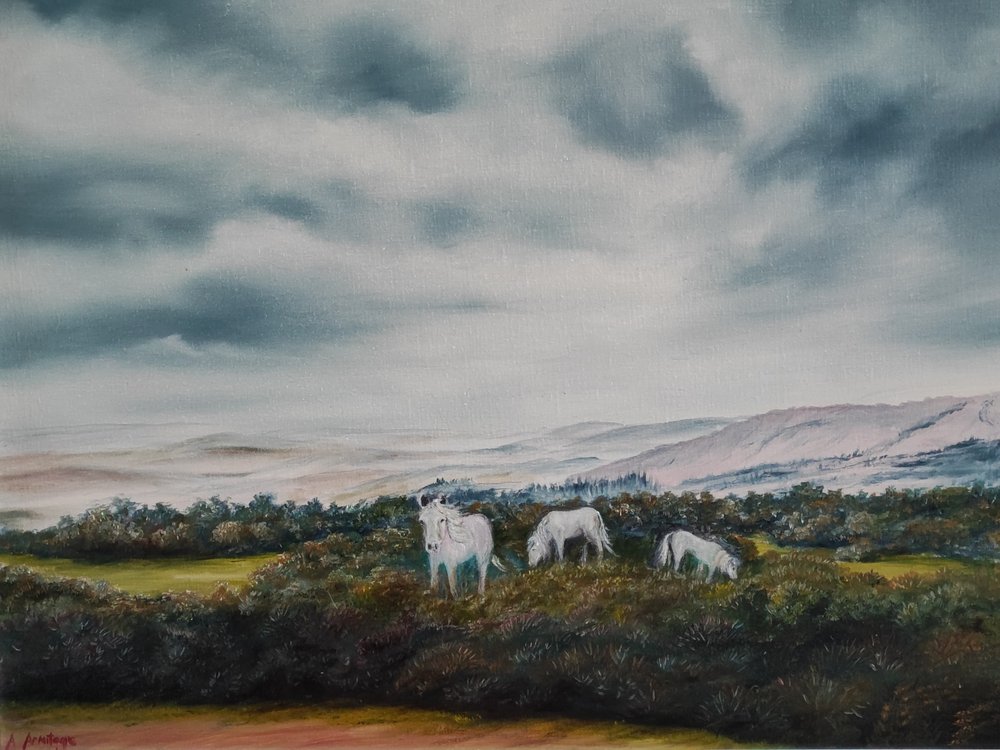 Los tranquilos ponis de los páramos de Annette Armitage