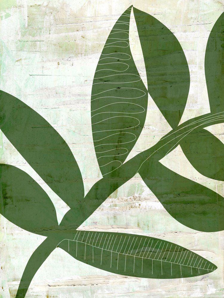 Hojas verdes abstractas de Annick