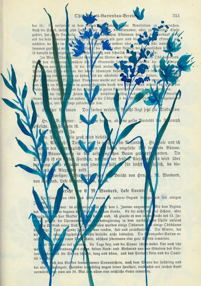 Flores azules: texto antiguo de Annick
