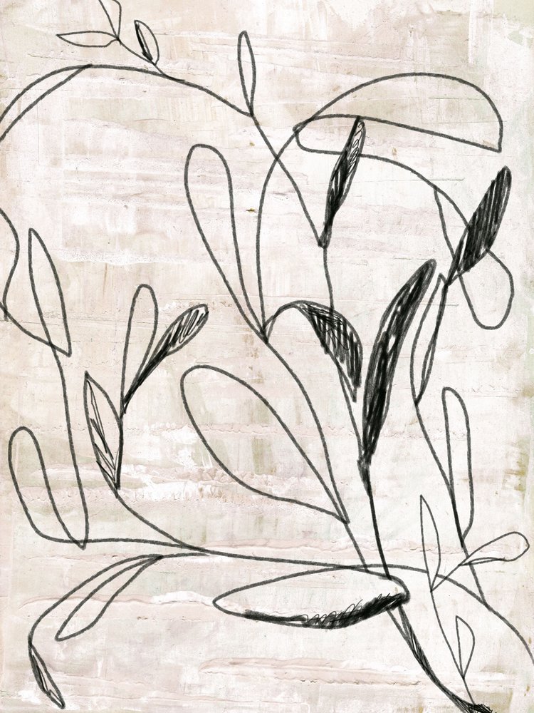 Dibujo botánico a trazo de Annick