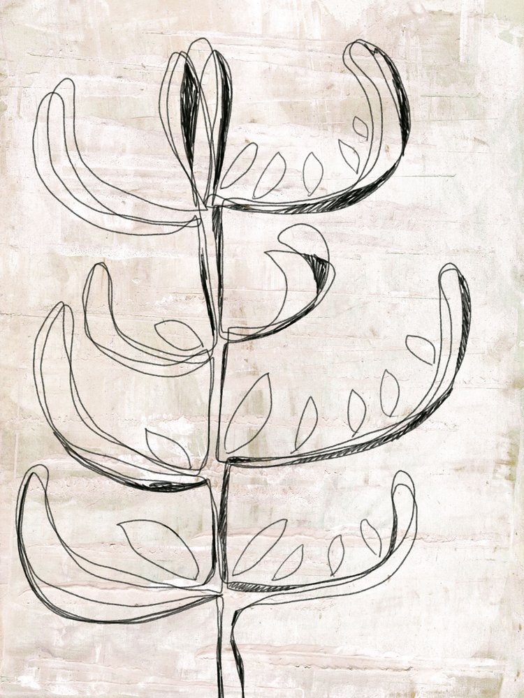 Boceto botánico orgánico de Annick