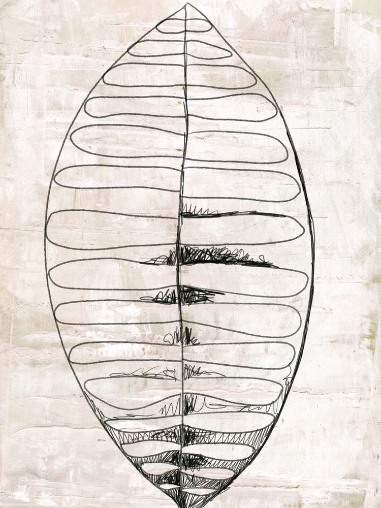 Dibujos de hojas en estilo «line art» orgánico de Annick