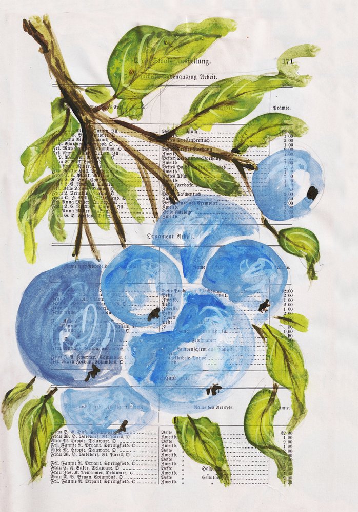 Arándanos pintados sobre papel de Annick