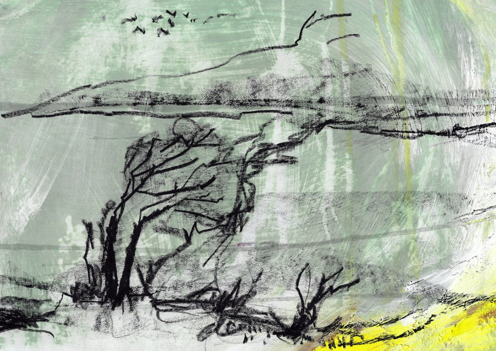 Boceto de un árbol azotado por el viento de Annick