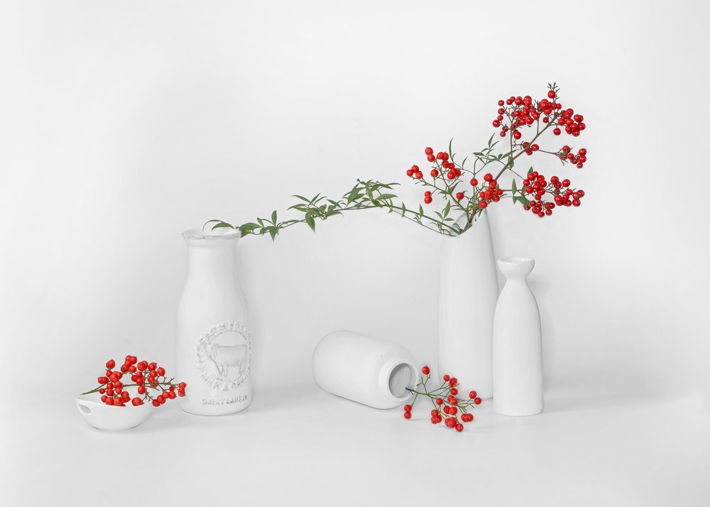 Exposición minimalista de frutos rojos de Annie Poreider