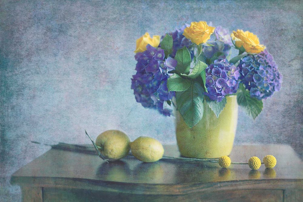 Hortensias moradas y rosas amarillas de Antonella Renzulli