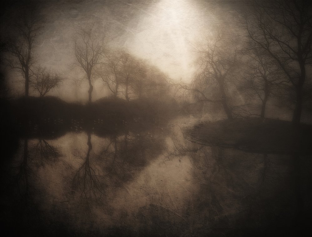 Reflejo del bosque brumoso de Bill Eiffert