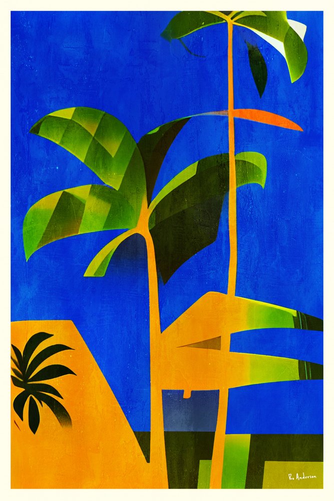  de Bo Anderson