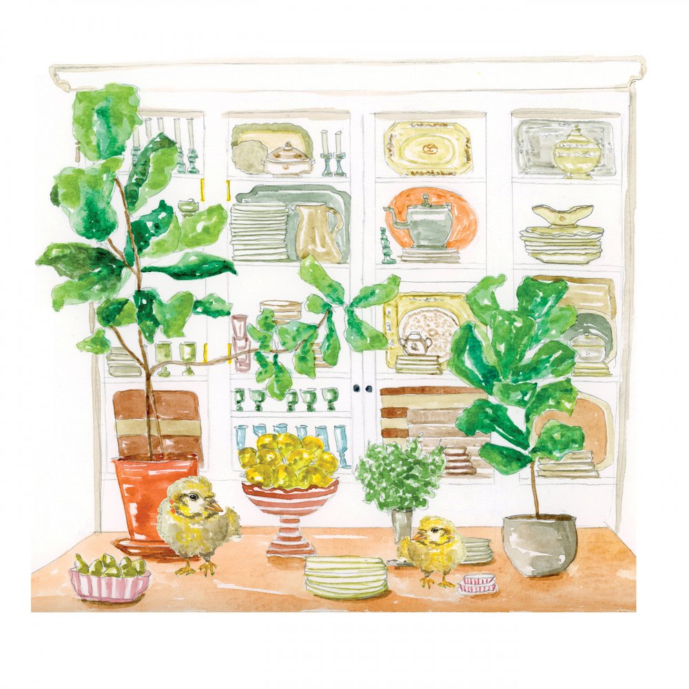 Chicas de la cocina acogedora de Breanna Megan Studio