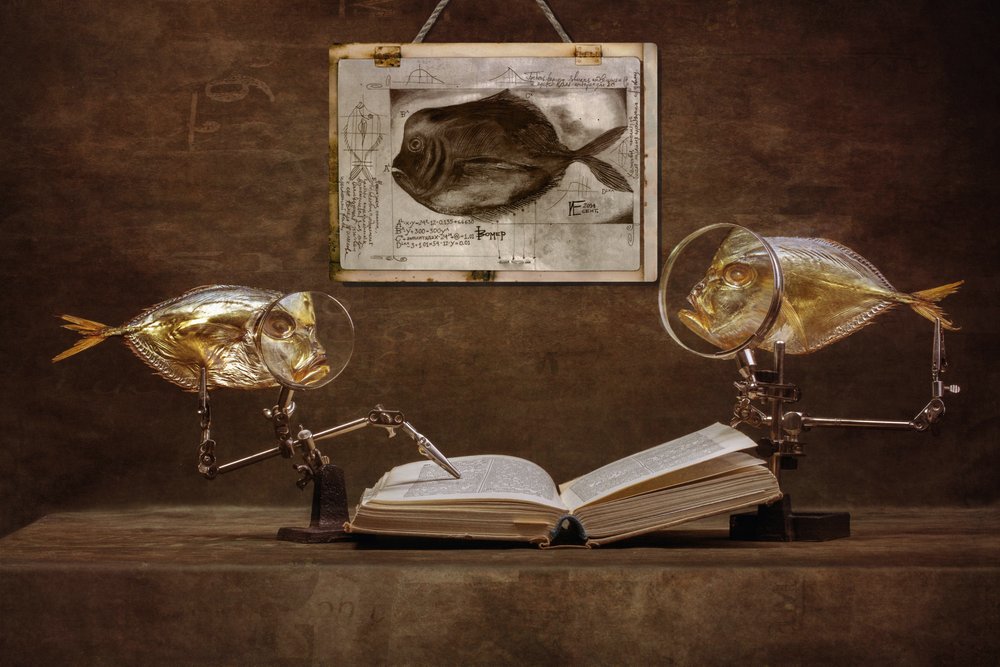 Curiosos peces eruditos de Brig Barkow