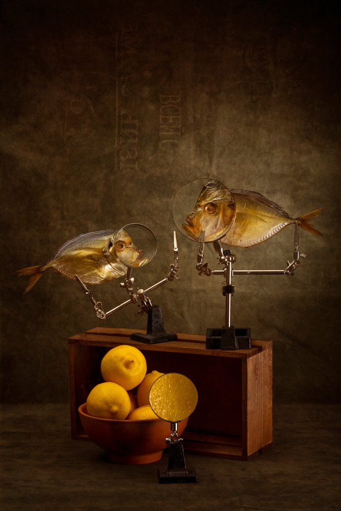 Curioso estudio de pez de Brig Barkow