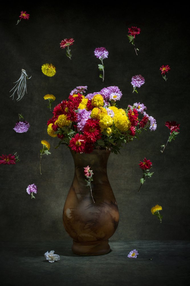 Flores vibrantes que flotan de Brig Barkow