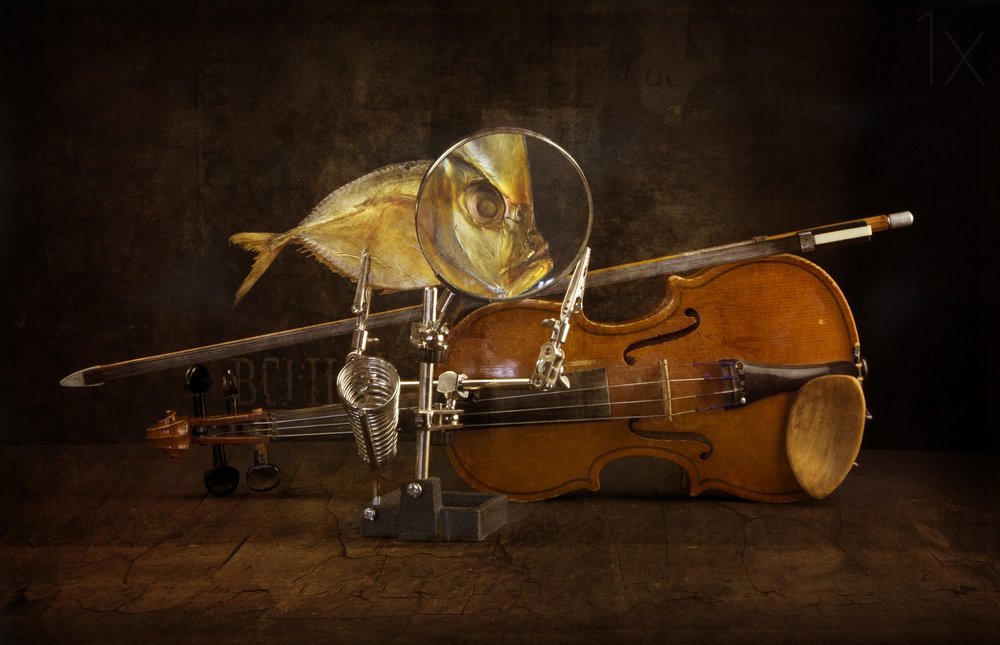 Pez ampliado y violín de Brig Barkow