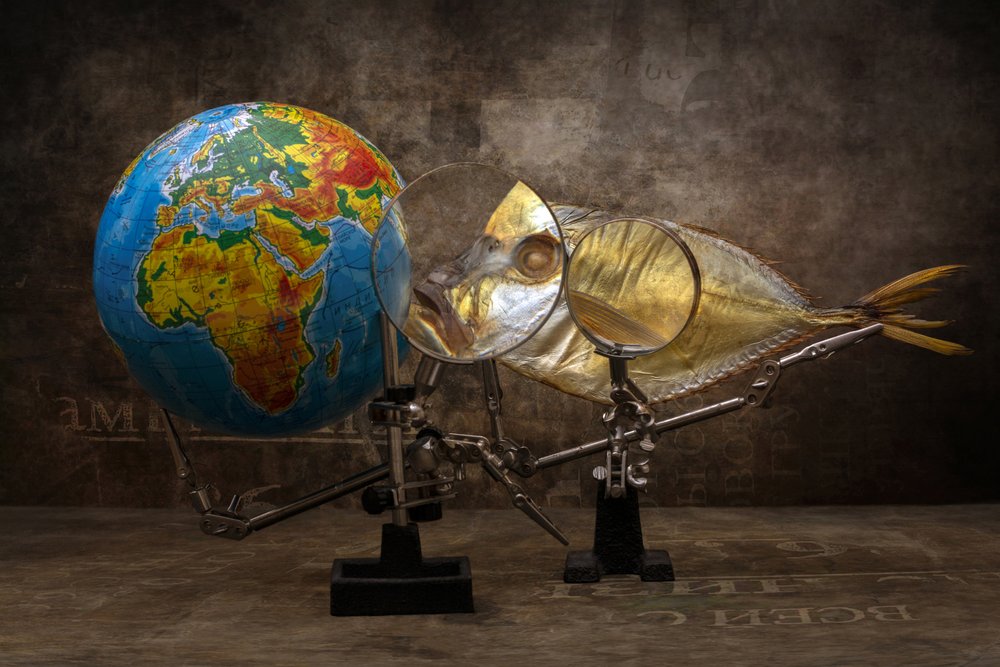 Pez y globo ampliados de Brig Barkow
