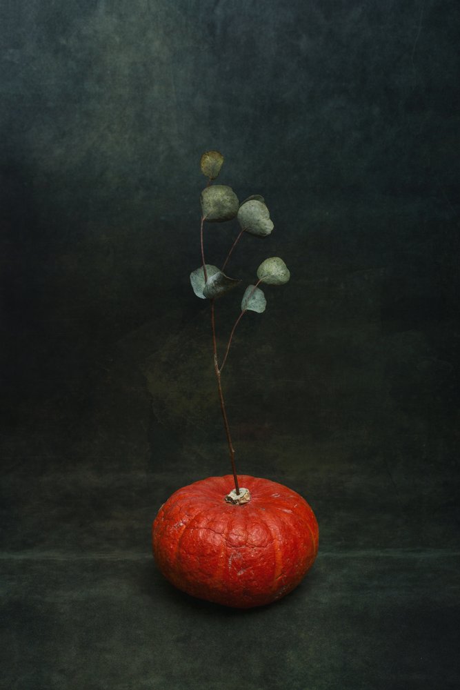 Calabaza melancólica y eucalipto de Brig Barkow