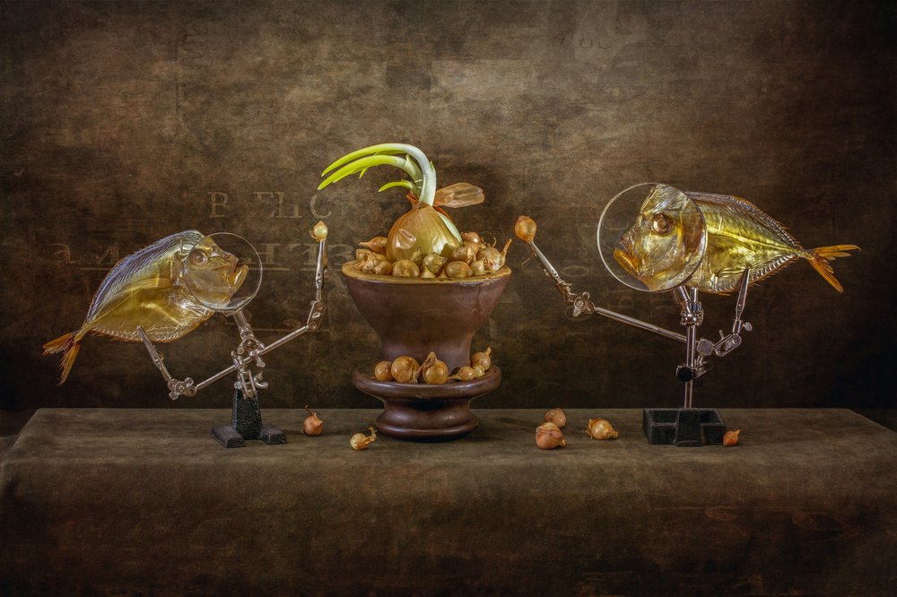 Peces y cebollas caprichosos de Brig Barkow