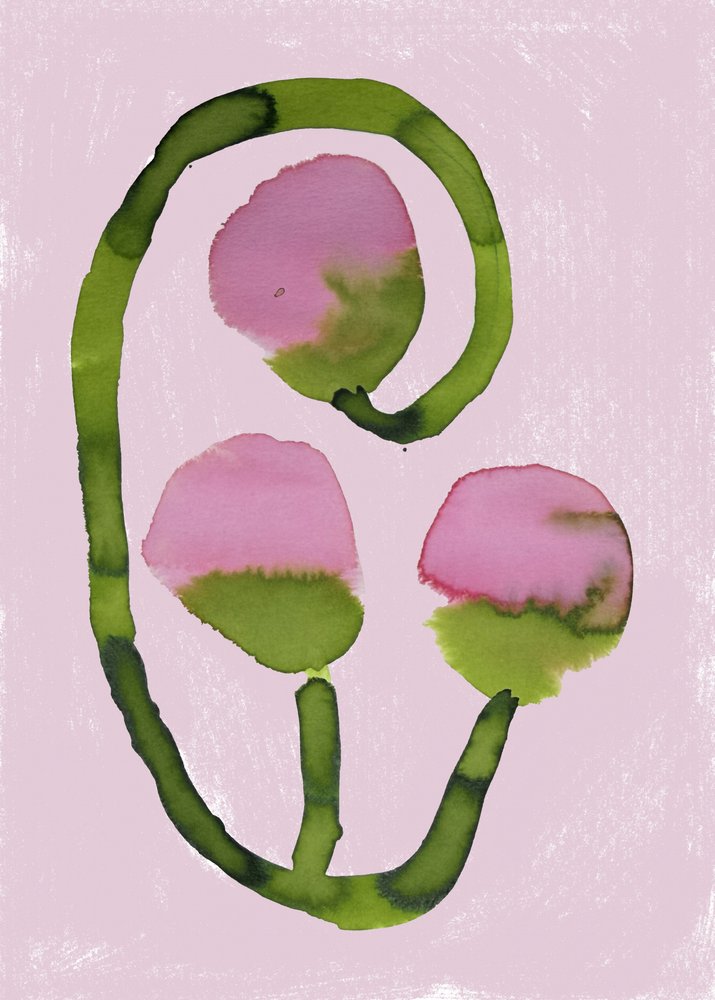 Flores rosas abstractas de Carola Cedell
