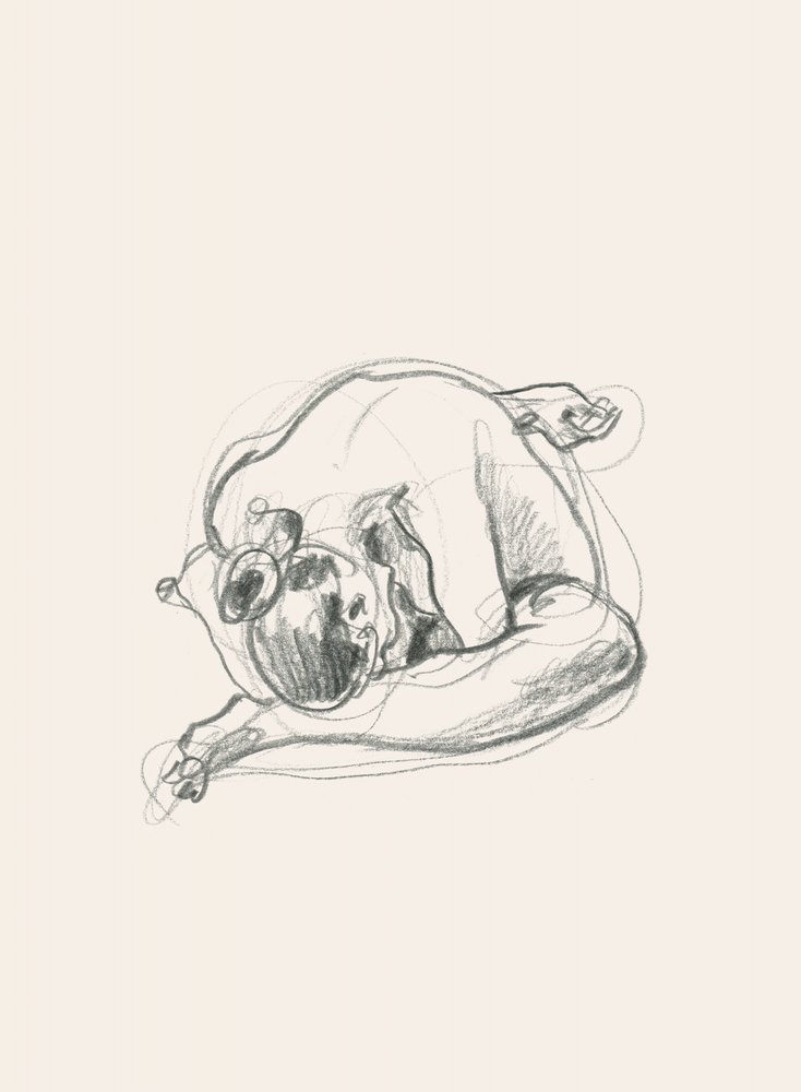 Figura recostada en silencio de Catalina Somolinos