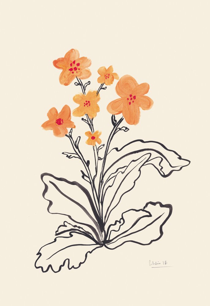 Flores de un naranja intenso de Catalina Somolinos