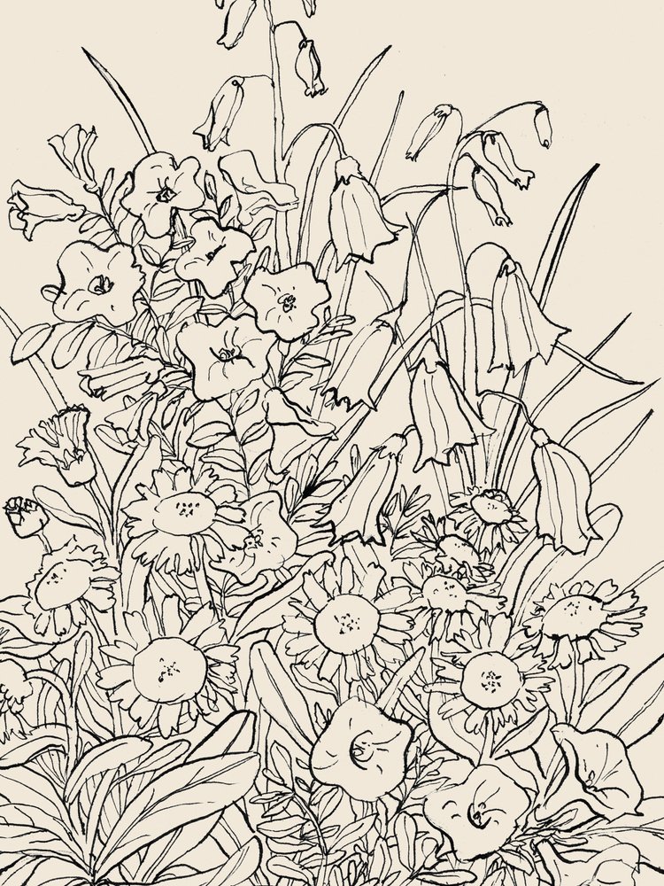 Flores silvestres de jardín de Catalina Somolinos