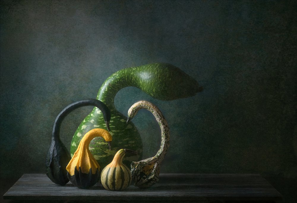 Naturaleza muerta con calabazas de otoño de Catherine Wang