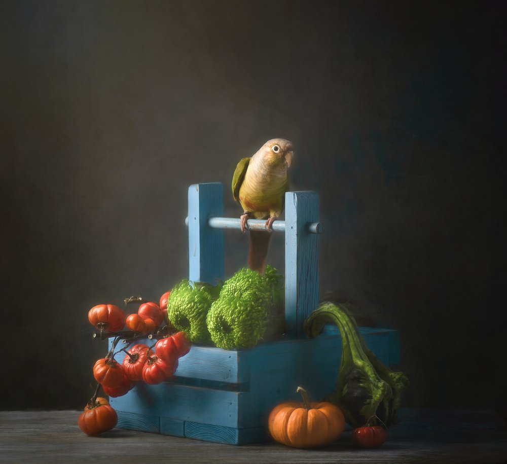 Naturaleza muerta con un loro en otoño de Catherine Wang