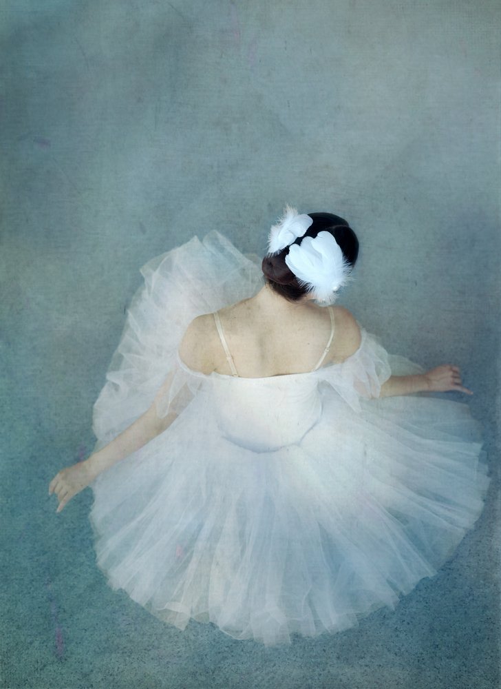 Elegante bailarina cisne de Catherine Wang