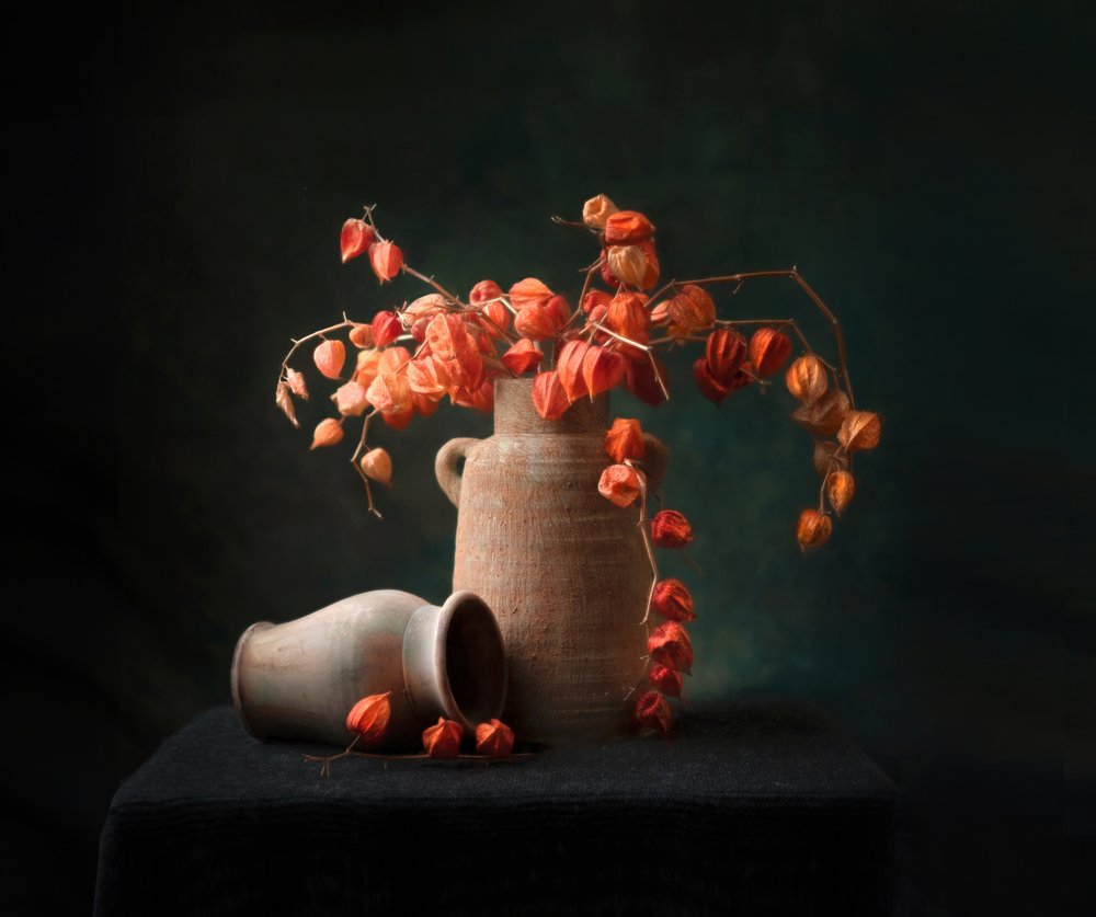  de Catherine Wang