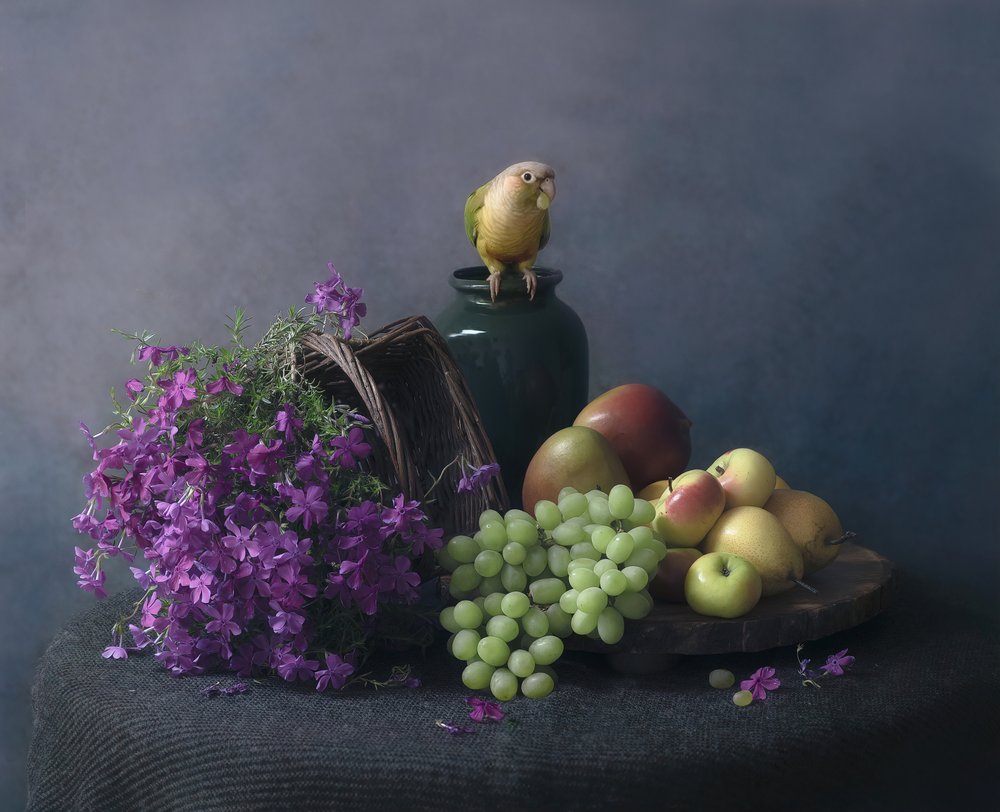 Naturaleza muerta con un loro de Catherine Wang