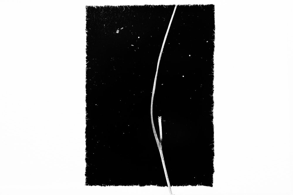 Una curva elegante en la oscuridad de Chen Hongzhou
