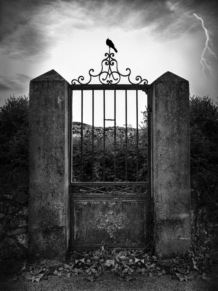 Cuervo Relámpago de la Puerta Oscura de Christian MARCEL