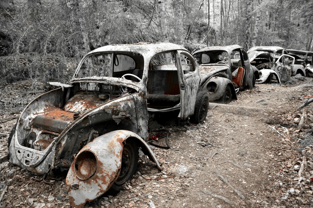 Escarabajos oxidados abandonados de Christina Sillen