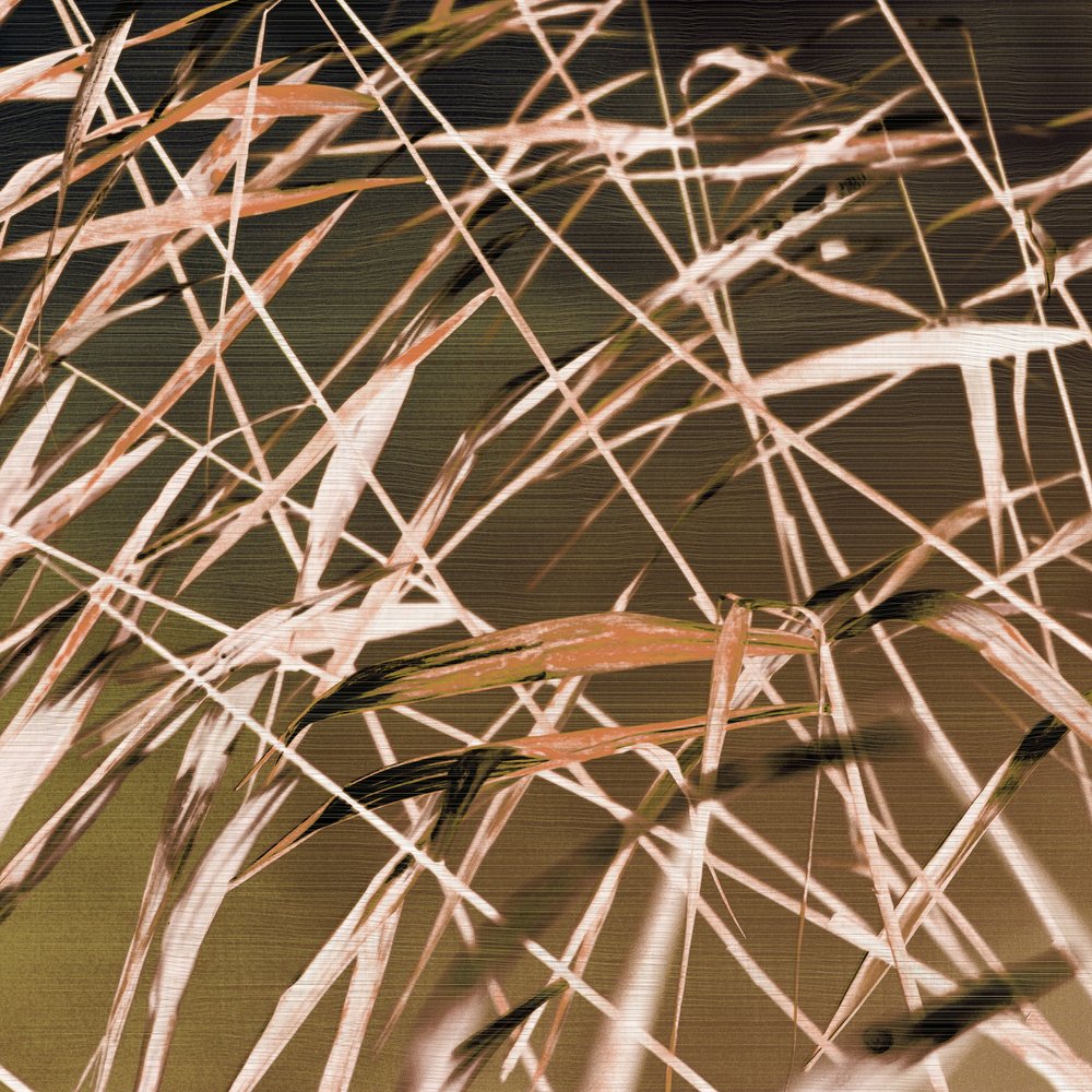 Patrones abstractos de caña de Christina Sillen