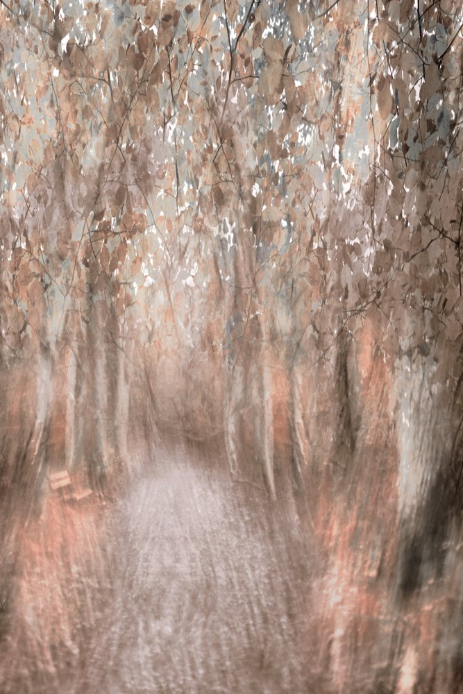 Sendero por el bosque en otoño de Christina Sillen