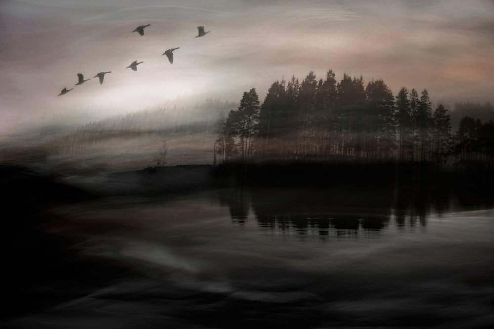  de Christina Sillen