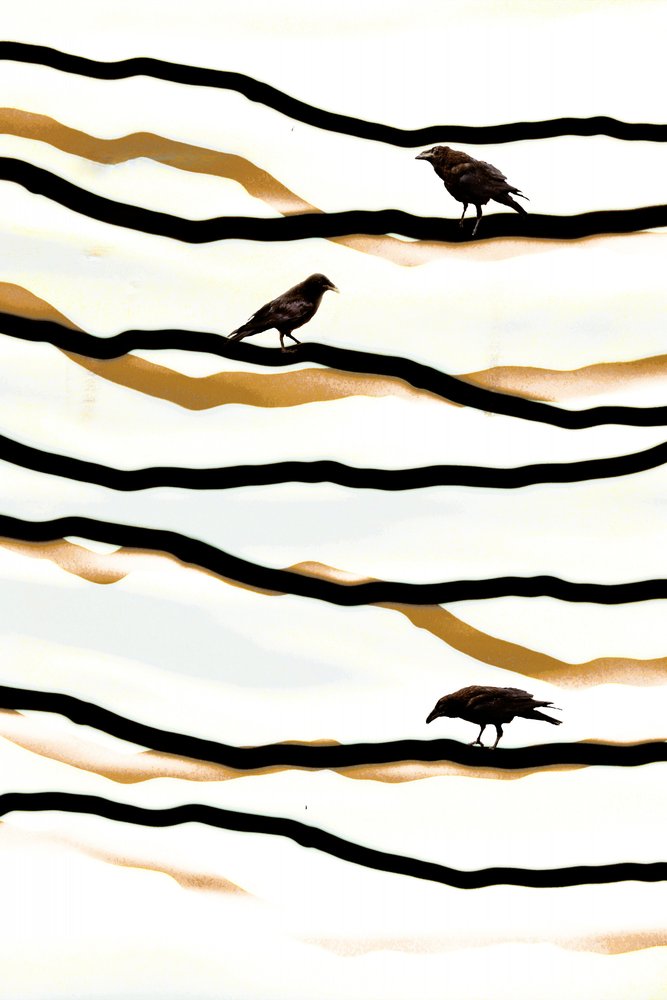 Aves sobre olas doradas de Christina Sillen