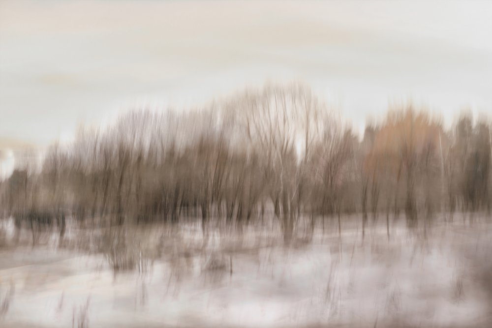 Reflejo difuso del bosque de Christina Sillen