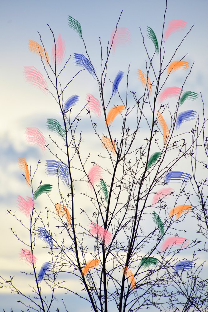 Ramas primaverales llenas de color de Christina Sillen