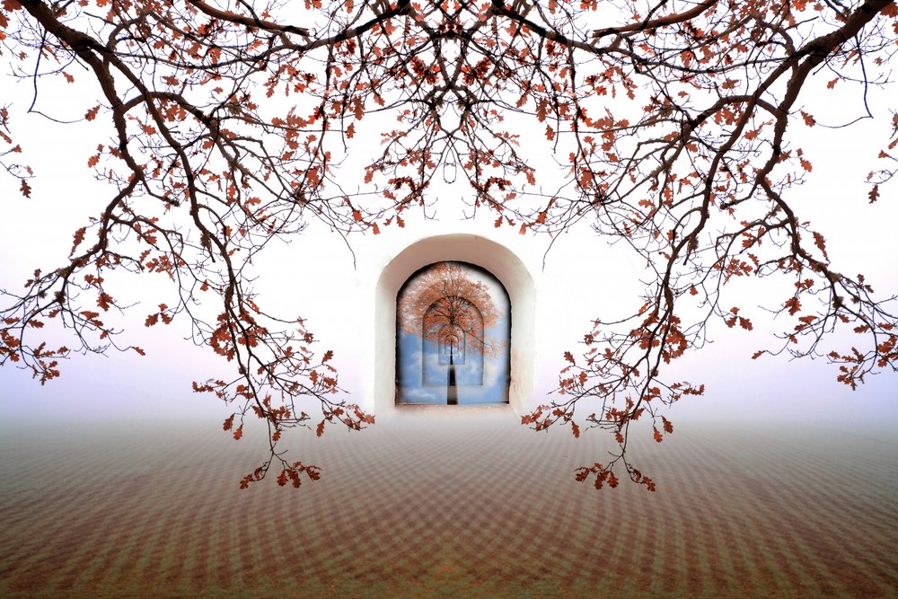 Arco otoñal de ensueño de Christina Sillen
