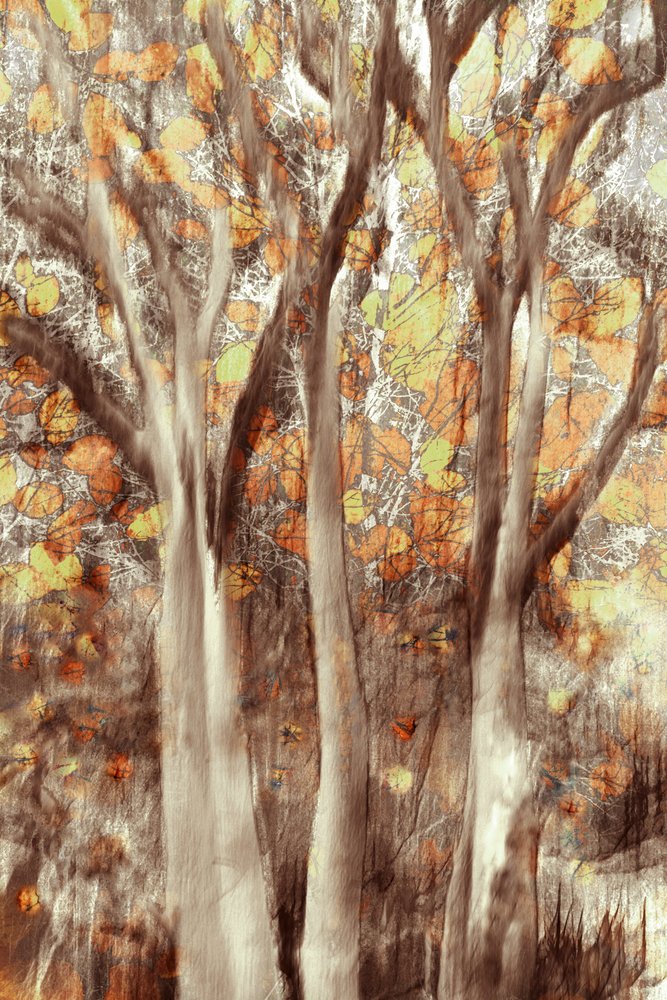 Bosque otoñal dorado de Christina Sillen
