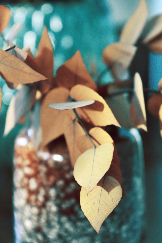 Hojas doradas de otoño de Christina Sillen