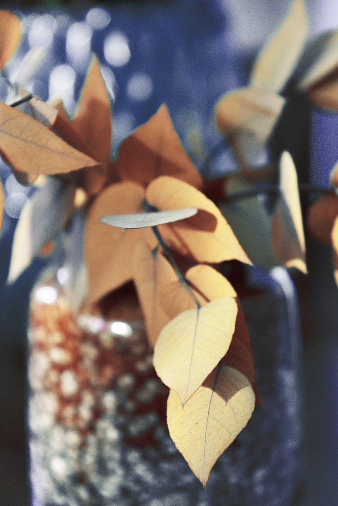 Hojas doradas de otoño de Christina Sillen