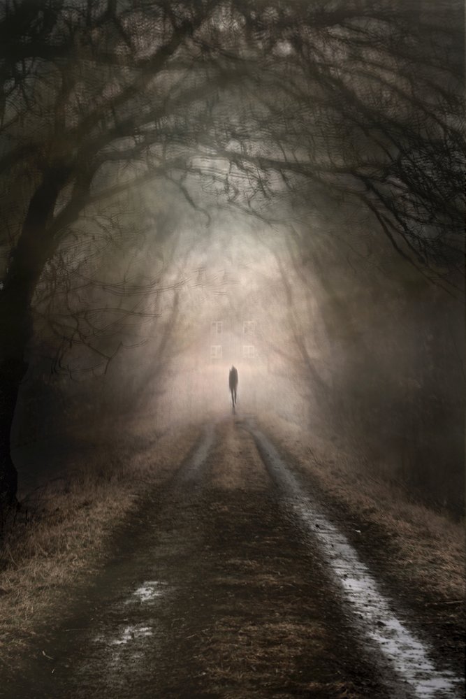 Una figura solitaria en un sendero brumoso de Christina Sillen