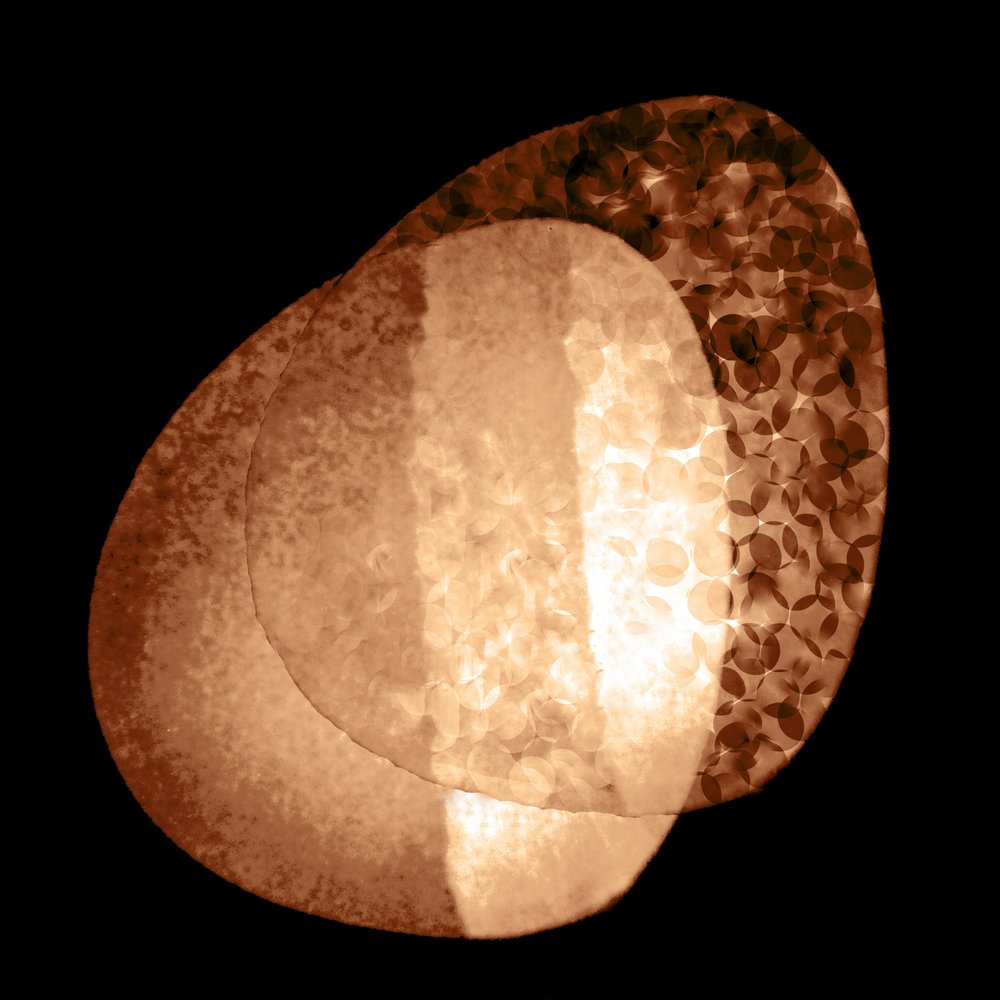 Formas orgánicas luminosas de Christina Sillen