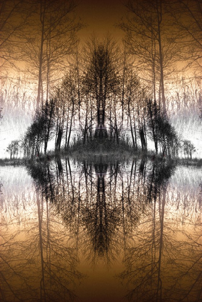 El lago del Bosque Espejo de Christina Sillen