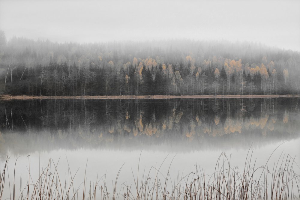 Lago otoñal envuelto en niebla de Christina Sillen
