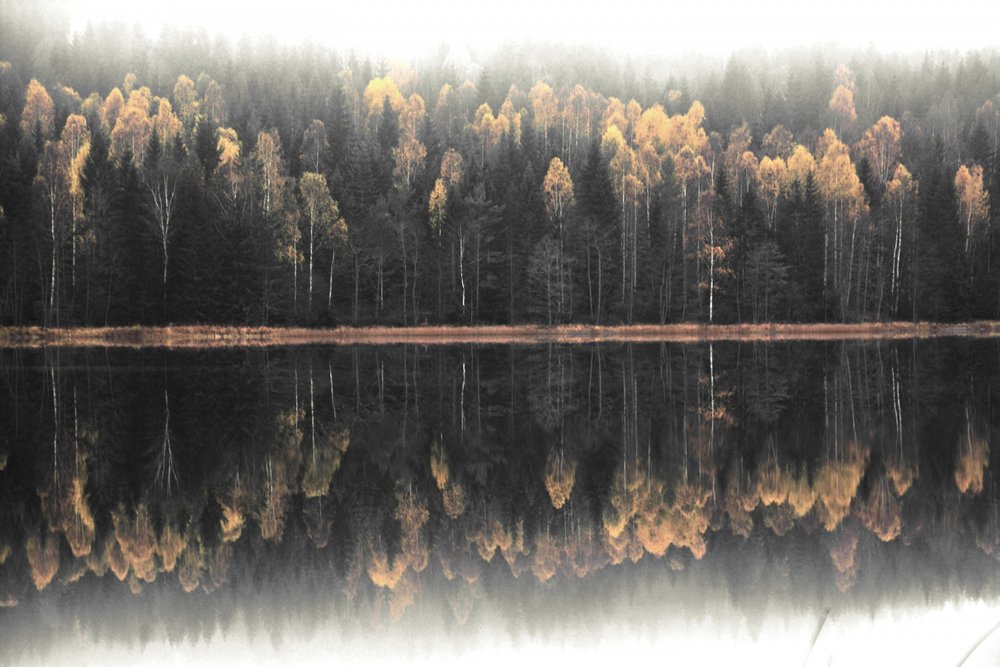 Reflejo otoñal en la niebla de Christina Sillen